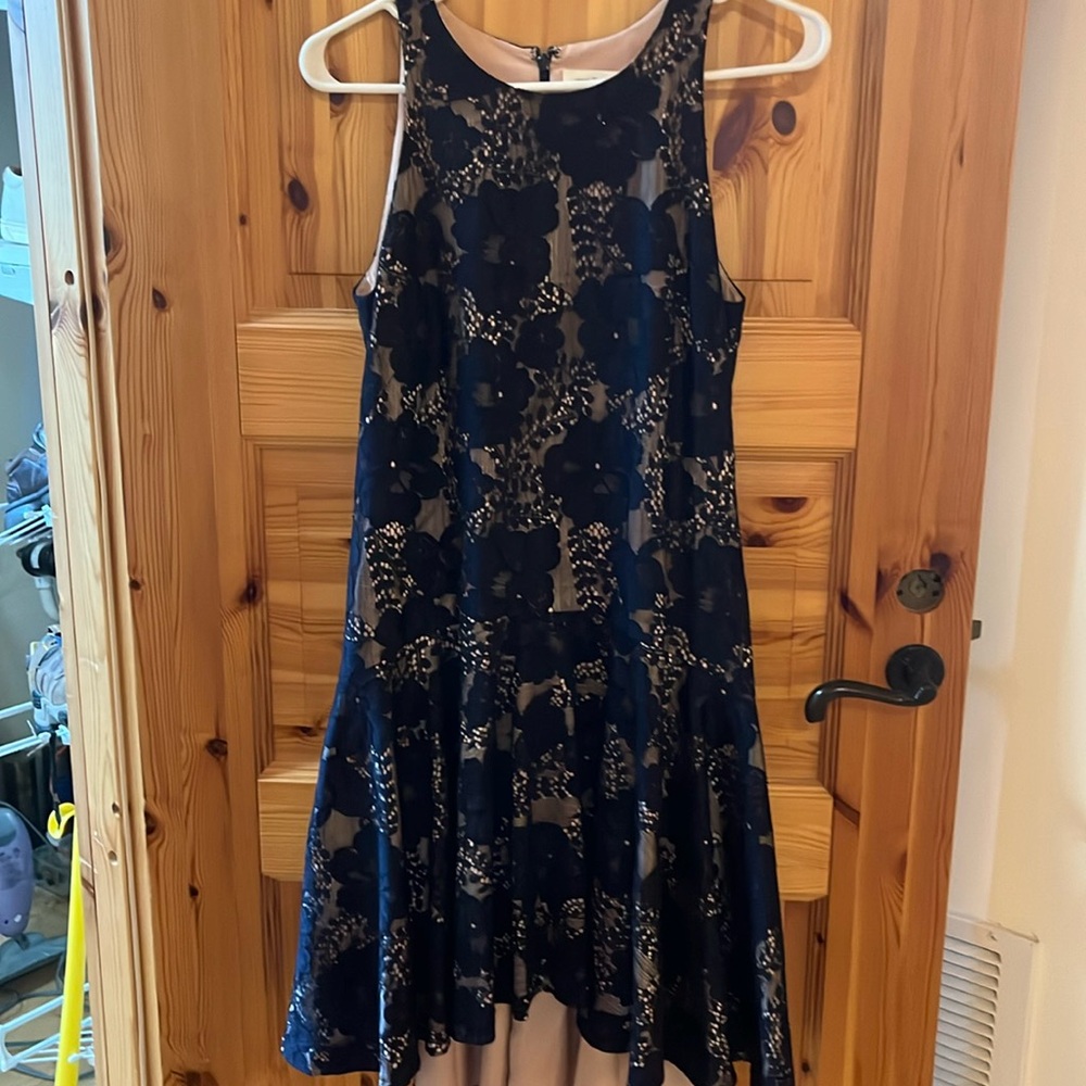 Eliza J dressy dress.